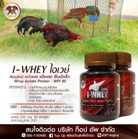 ไอเวย์ I-WHEY โปรตีนเข้มข้น